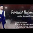 Ferhad Bicare - Aldin Anami Dunya 2020 YUKLE.mp3