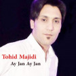 Tohid Majidi - Ay Jan Ay Jan 2020