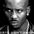 Catz Don't Know — DMX