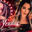 Aynur Sevimli - Adı Yoxdur 2026 (Resmi Musiqi)