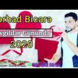 Ferhad Bicare - Sevgililer Gununde 2020 YUKLE.mp3