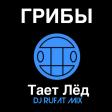 Грибы – Тает лед (Dj Rufat) 2019