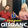 Elnur Valeh - Qisqanc 2020