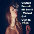 Ceyhun Berdeli  Eli Saatli - Vezyet Gul Olanda 2019(YUKLE)