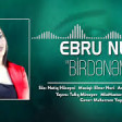 Ebru Nur - Birdenem 2019 YUKLE.mp3