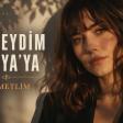 Gelseydim Dünyaya Kıymetlim