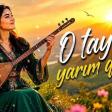 O Tayda Yarım Qalıb