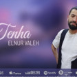 Elnur Valeh - Tenha 2022 Official Audio
