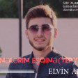 Elvin Abbas - Pervanelerin Esqine 2020