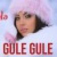 Vefa Serifova - Gule Gule YUKLE.mp3