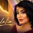 Afet Hesenova - Delalim ( Yeni Klip 2026 )