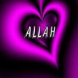 Terlan Sadiq ft Zahid Asiq - Allahim 2019 Yukle
