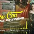 Aysu Can - Sen nə gözəlsən (2020) YUKLE.mp3
