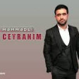 Efsun Memmedli - Nazli Ceyranim 2019 YUKLE.mp3