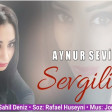 Aynur Sevimli - Sevgilim 2019 YUKLE.mp3
