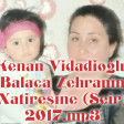 Kenan Vidadioglu Balaca Zehranin Xatiresine (Şeir) 2017