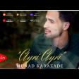 Araz Rafail- Nazina qurban YUKLE