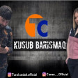 Tural Sedali Ft Canan - Kusub Barismaq Bizi Oldurdu 2019 YUKLE.mp3
