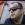 Elcin Zeka - Qara Gozler 2019 YUKLE.mp3