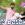 Resul Abbasov ft. Xana - Ay Balam (2019) YUKLE.mp3