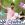 Resul Abbasov ft. Xana - Ay Balam (Meyxana)  2019 YUKLE.mp3