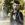 Mehdi Babazadeh - Sensiz Gece 2019 YUKLE.mp3