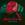 jeyhun samedov getme (YUKLE).mp3