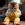 Xumar Qedimova- Dilberim (YUKLE).mp3 indir