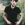 Payam- Turk Yaradan.mp3 yukle