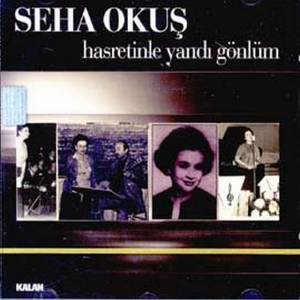 Hasretinle Yandı Gönlüm id=