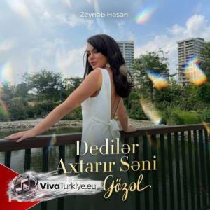 Zeynəb Həsəni — Dedilər Axtarır Səni Bir Gözəl (2026) id=