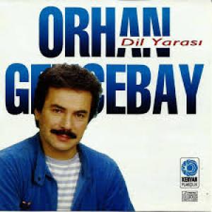 Sevecekmiş Gibisin id=