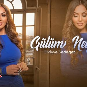 Ülviyyə Sədaqət - Gülüm Neyləsin (Yeni 2026) id=