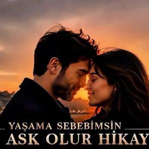 Yaşama Sebebimsin Bu Aşk Olur Hikaye id=