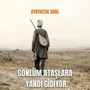 Gönlüm Ataşlara Yandı Gidiyor id=