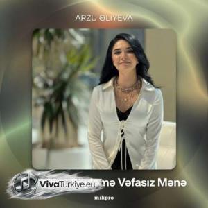 Arzu Əliyeva — Sevgilim, Söyləmə Vəfasız Mənə (2026) id=