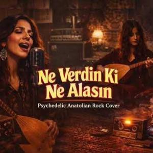 Ne Verdin ki Ne Alasın id=