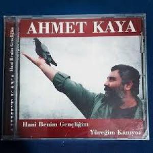 Hani Benim Geçliğim id=
