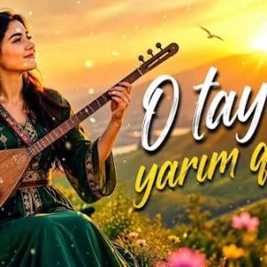 O Tayda Yarım Qalıb id=