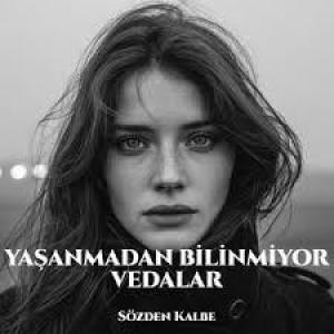 Yaşanmadan Bilinmiyor Vedalar id=
