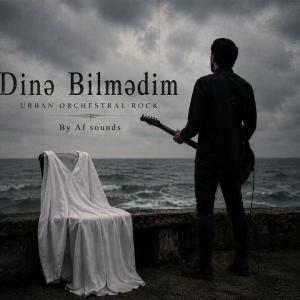 Dinə Bilmədim id=